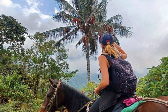 cavalcade-valley-of-cocora-lookout-two-and-river