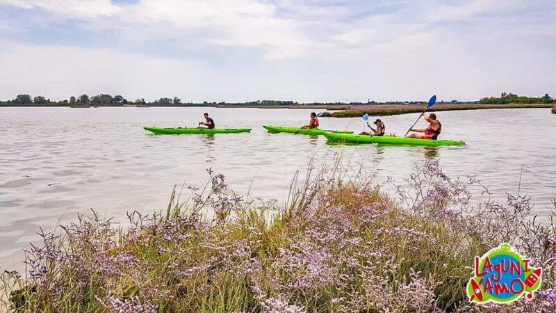 cavallino-treporti-short-kayak-tour-in-the-venetian-lagoon