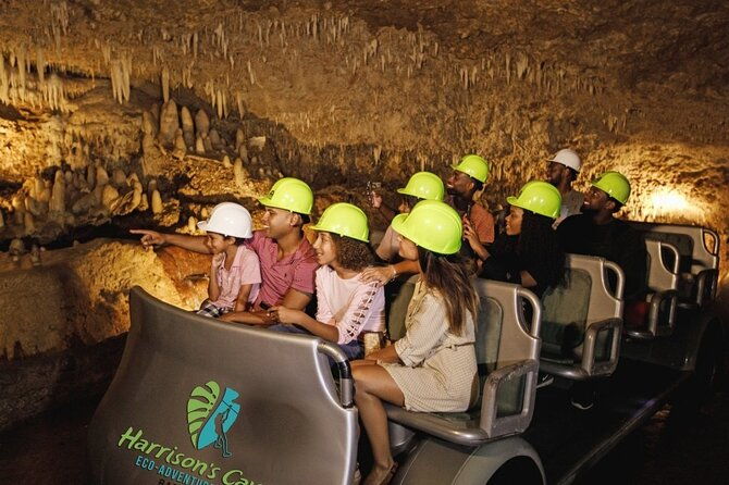 cave-monkey-zipline-experience-at-harrisons-cave-by-chukka