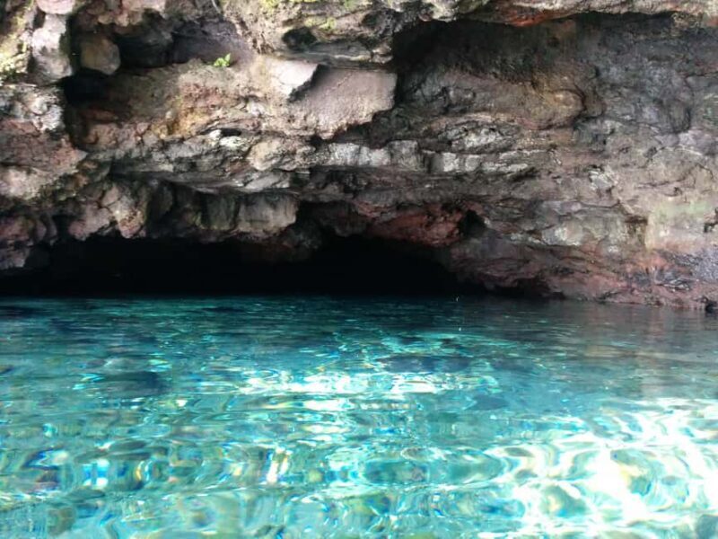 Cave Pool & Lava Tube Swims of Upolu - What Makes This Tour Stand Out?