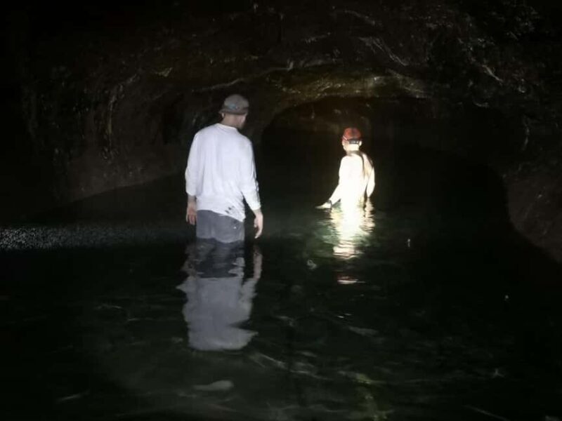 Cave Pool & Lava Tube Swims of Upolu - Who Would Love This Tour?