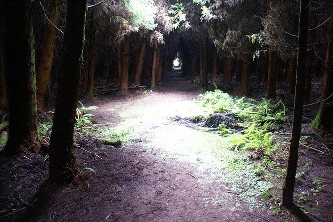 cave-tour-in-terceira