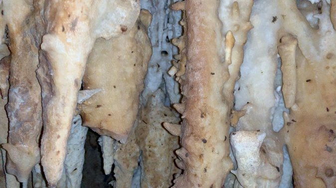 cave-tour-with-local-guide