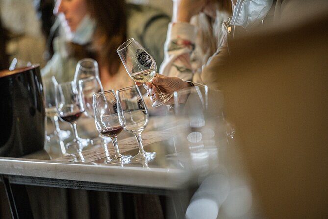 Caves Ambacia, Tour and Wine Tasting in Amboise, Loire Valley - Practical Tips for Visitors