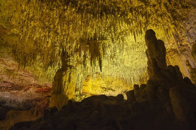 caves-drach-boat-trip-from-alcudia-with-return-bus-and-tickets