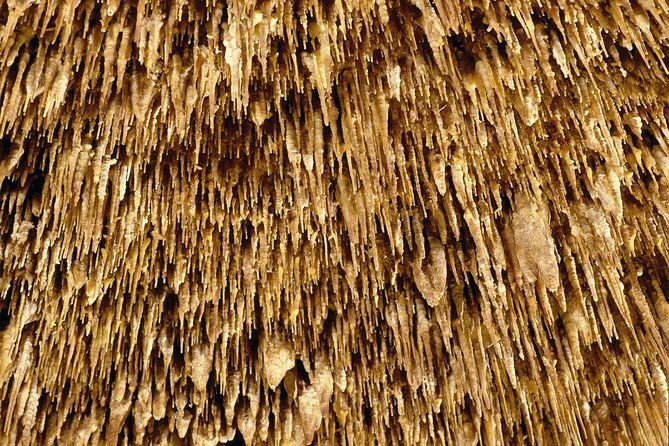 caves-of-drach-half-day-tour-with-boat-trip-and-music-concert