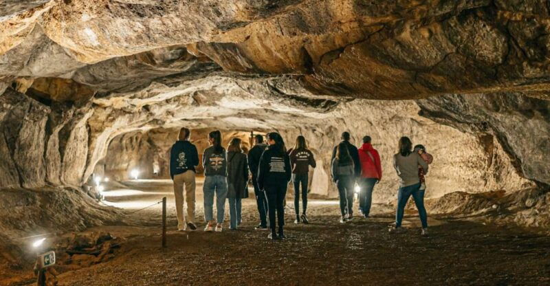 caves-prehistory-of-esplugues-francoli-with-hotel-pickup