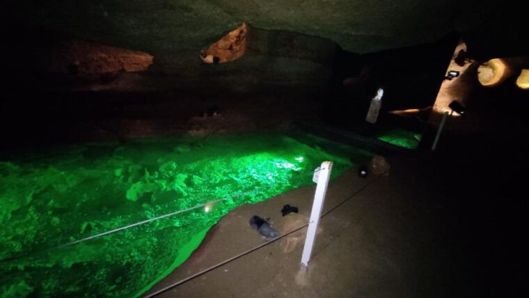 caves-prehistory-of-esplugues-francoli-with-hotel-pickup