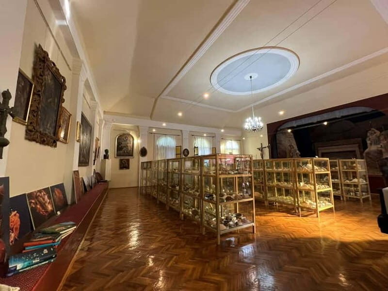 Cavtat: Shell Museum Private Guided Tour - Introduction