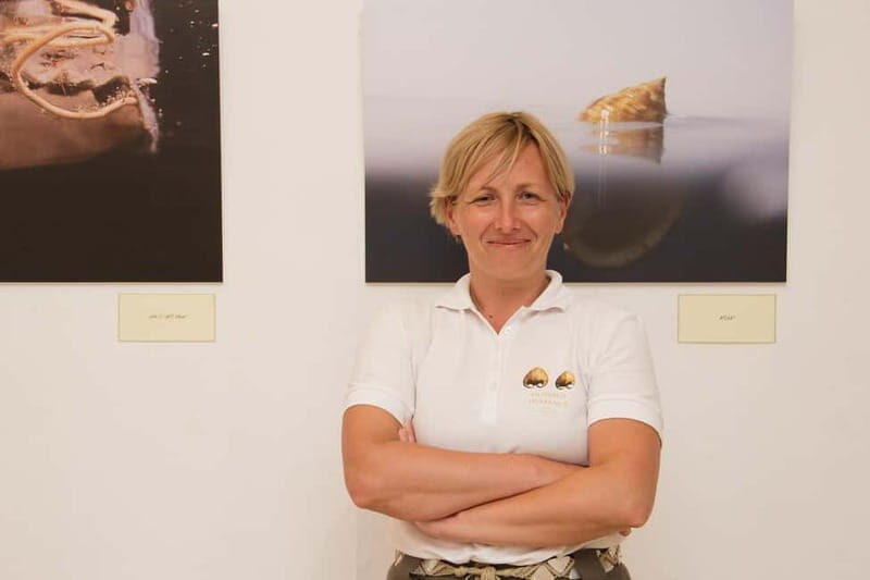 Cavtat: Shell Museum Private Guided Tour - Why the Cavtat Shell Museum Tour Matters