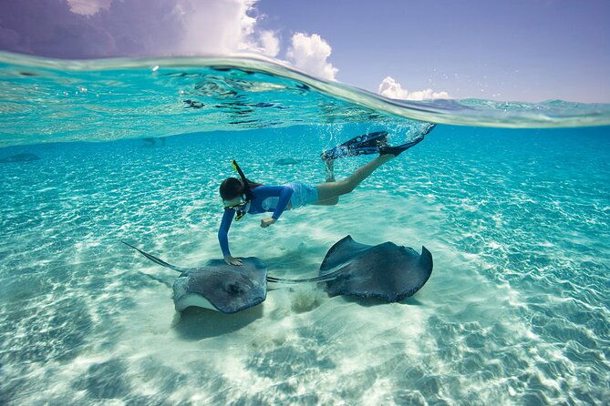 cayman-3-in-1-combo-starfish-point-stingrays-and-reefs