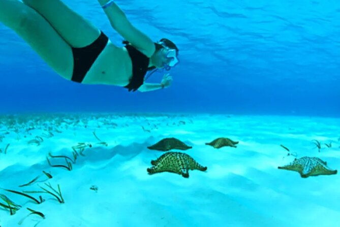 cayman-adventure-starfish-point-stingray-city-and-coral-gardens