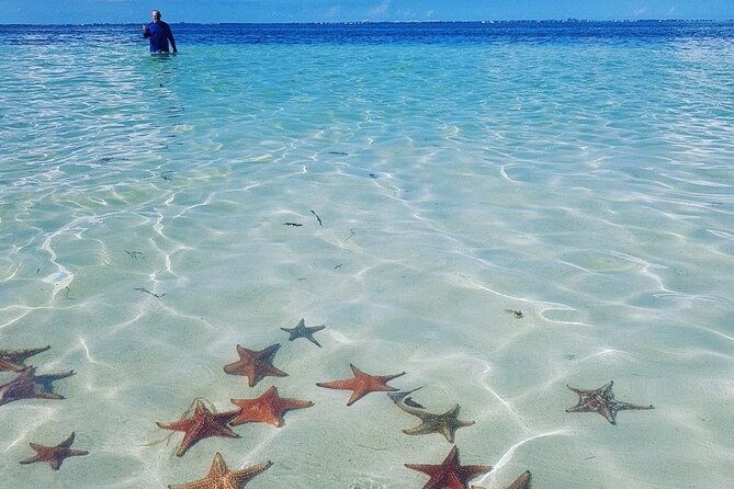 cayman-adventure-starfish-point-stingray-city-and-coral-gardens