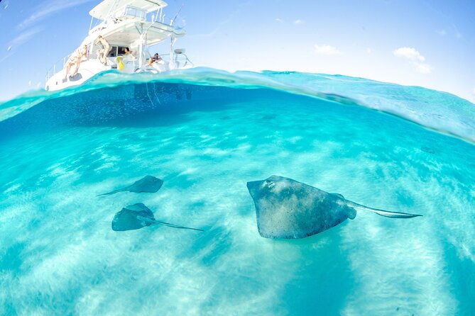 cayman-adventure-starfish-point-stingray-city-and-coral-gardens