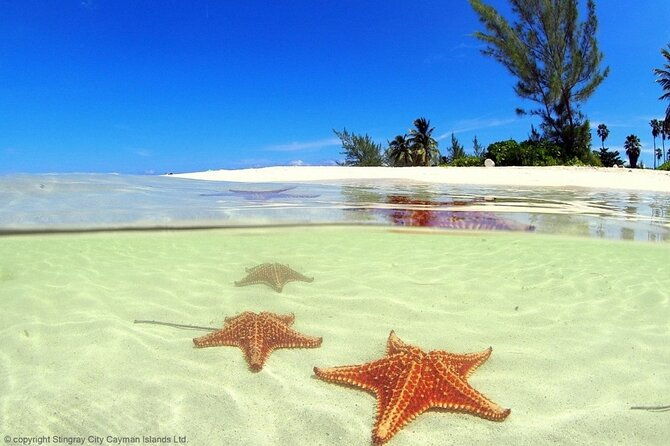 cayman-adventure-starfish-point-stingray-city-and-coral-gardens