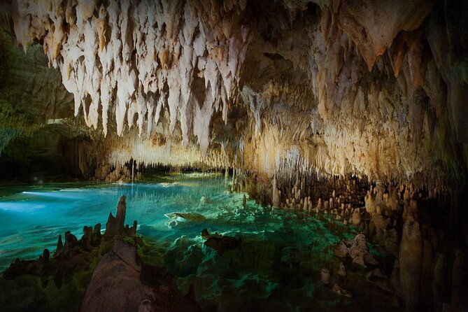 cayman-combo-tour-stingrays-starfish-point-and-crystal-caves