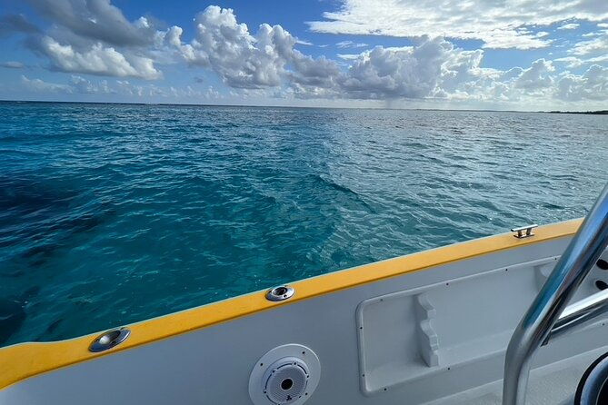 cayman-private-luxury-charters-stingray-city-snorkel-more