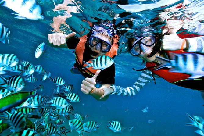 cayo-levantado-at-bacardi-island-including-boat-transfer-lunch-and-snorkeling