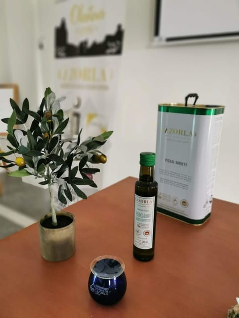 cazorla-oleotour-olive-oil-culture-initiation