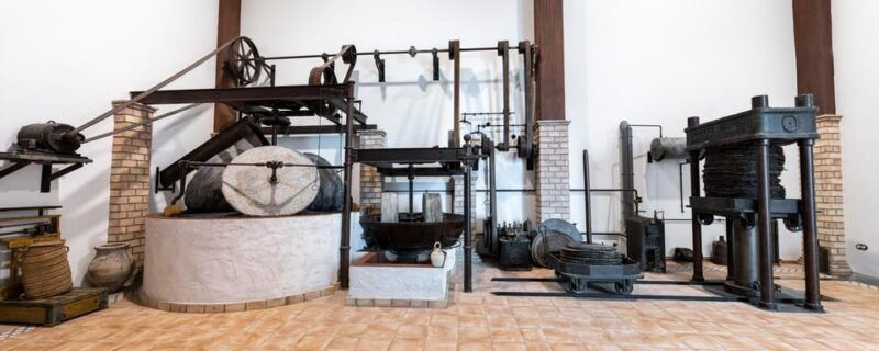 cazorla-oleotour-olive-oil-culture-initiation