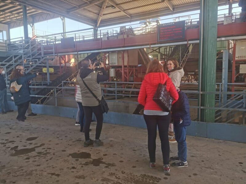 cazorla-oleotour-olive-oil-culture-initiation