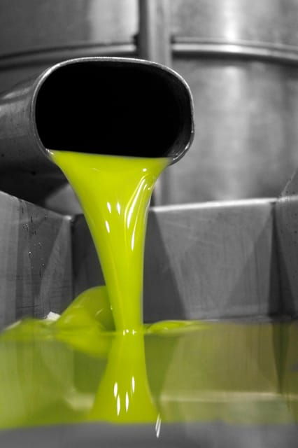 cazorla-oleotour-olive-oil-culture-initiation