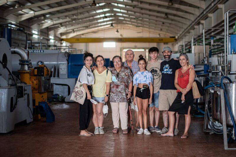 cazorla-olive-grove-and-mill-tour