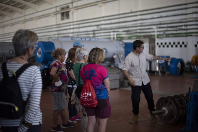 cazorla-olive-grove-and-mill-tour