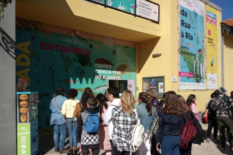 ccvalgarve-individual-ticket