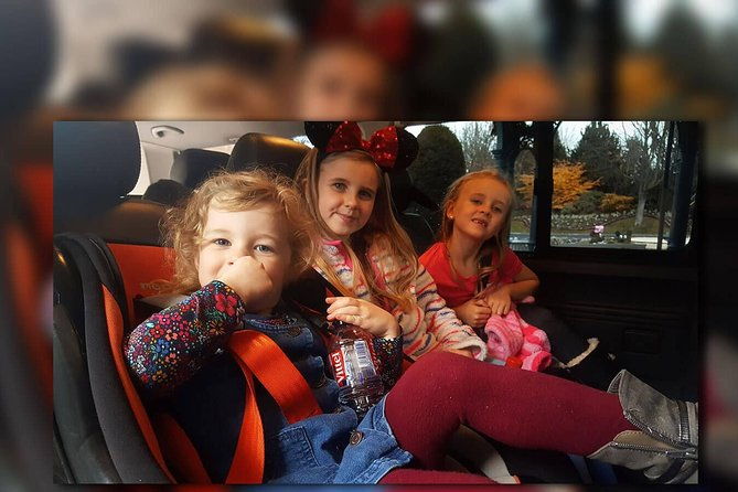 cdg-euro-disney-one-way-private-shuttle-transfer