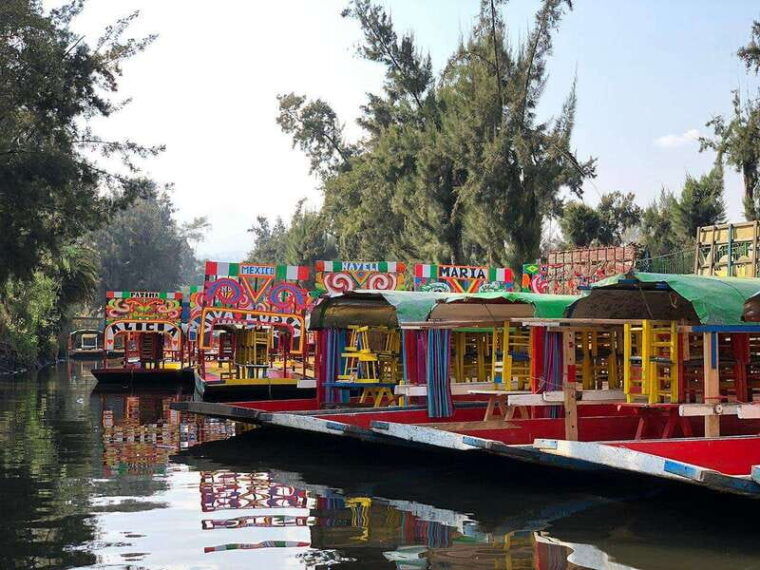 cdmx-trajinera-ride-in-xochimilco-with-tacos-music-and-drinks
