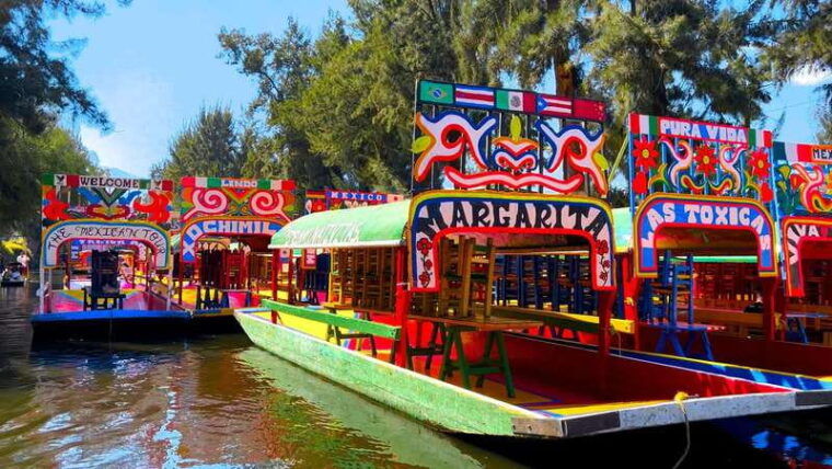 cdmx-xochimilco-trajinera-party-with-drinks-music-tacos