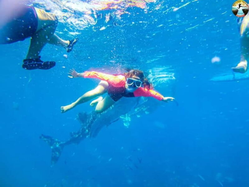 Cebu: 2-Day Island-Hopping, Canyoneering, and Whale Shark - Key Points