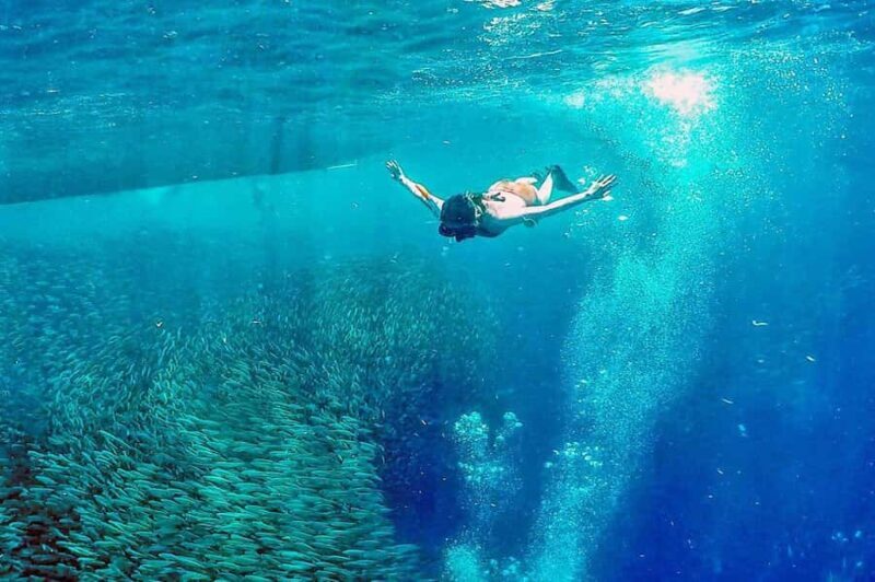 Cebu: 2 Days 1 Night City and Moalboal Tour Package - The Practicalities: What You Need to Know