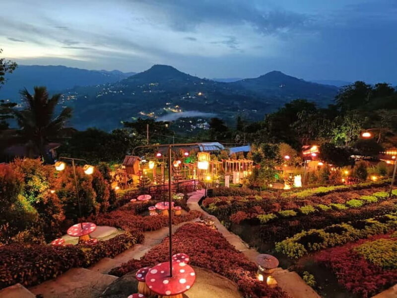 Cebu: 4 Days and 3 Nights Cebu Tour Package - Key Points