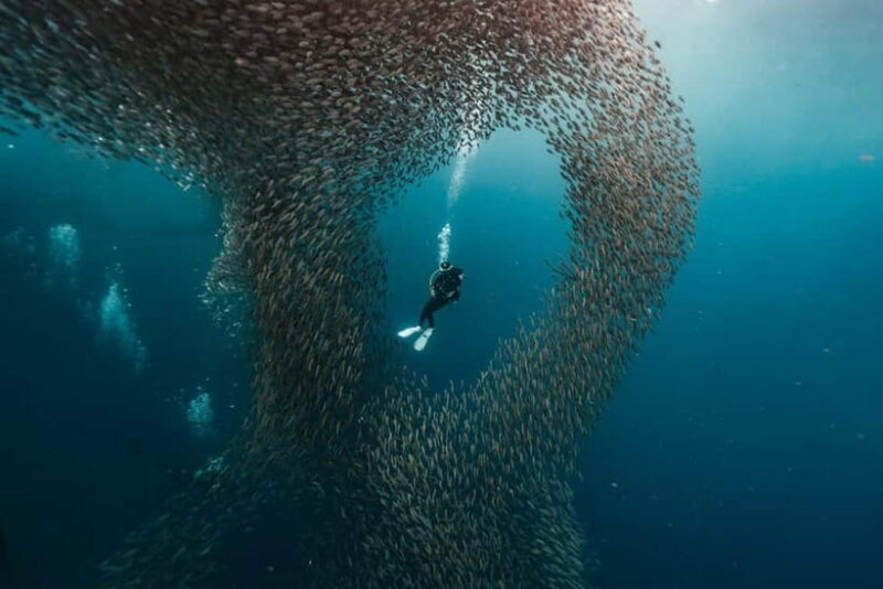 Cebu: 4 Days and 3 Nights Cebu Tour Package - What’s Included and What to Consider