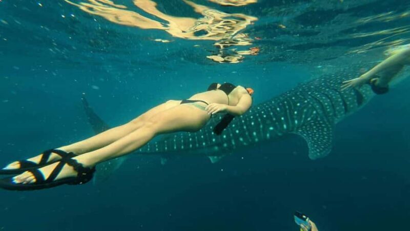 Cebu: Adventure Escape 4 Days & 3 Nights All-In Experience - Key Points