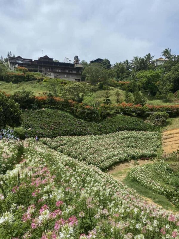 Cebu: Adventure Escape 4 Days & 3 Nights All-In Experience - FAQ