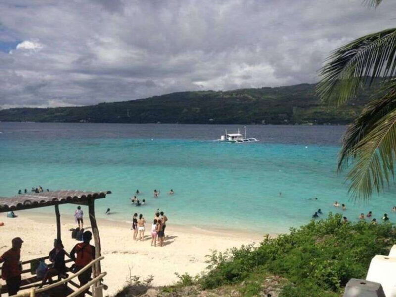 cebu-boat-day-trip-with-whale-shark-swimming-and-lunch