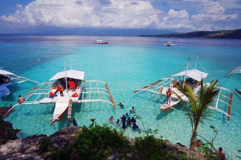 cebu-boat-day-trip-with-whale-shark-swimming-and-lunch