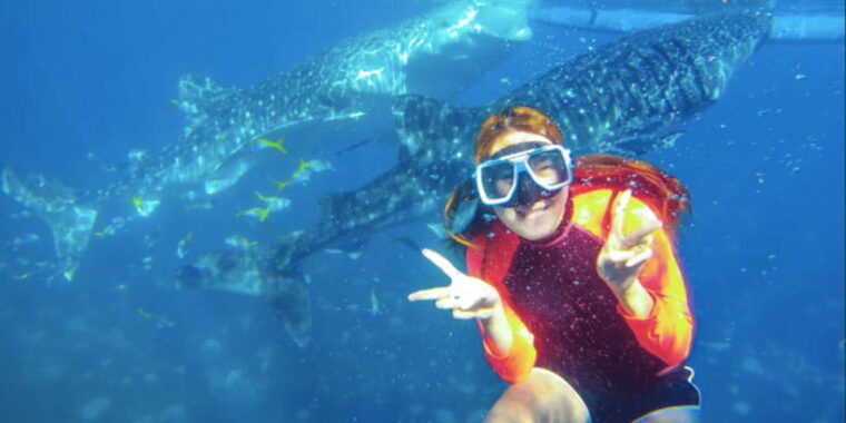 cebu-boat-day-trip-with-whale-shark-swimming-and-lunch