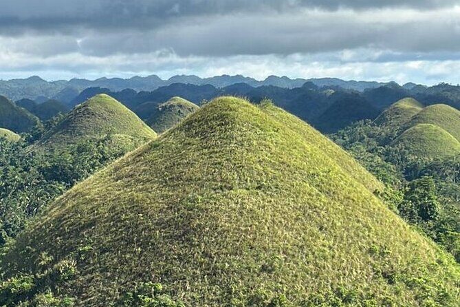Cebu-Bohol Private Day Tour with Chocolate Hills + Ferry Tickets - The Complete Breakdown of the Tour Experience