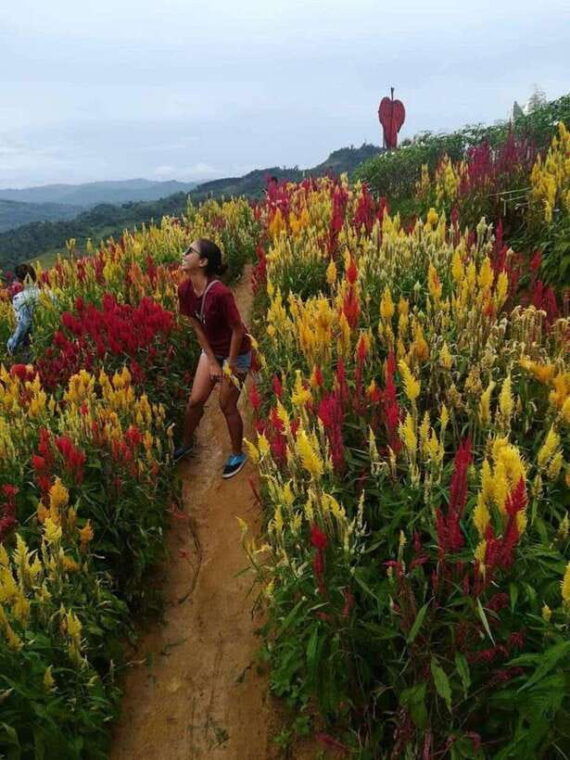 cebu-city-and-highlands-discovery-full-day-tour-with-lunch