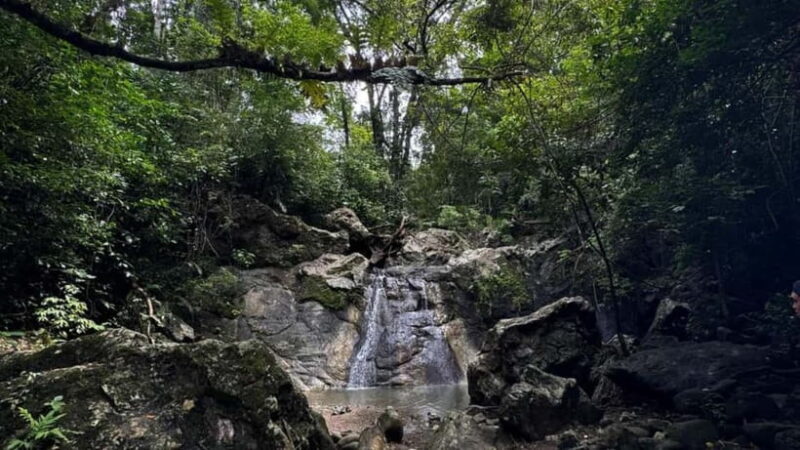 Cebu City: Guided Trekking Experience - Key Points