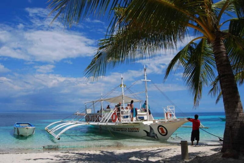 Cebu City: Malapascua Island Day Tour with Snorkeling - Introduction