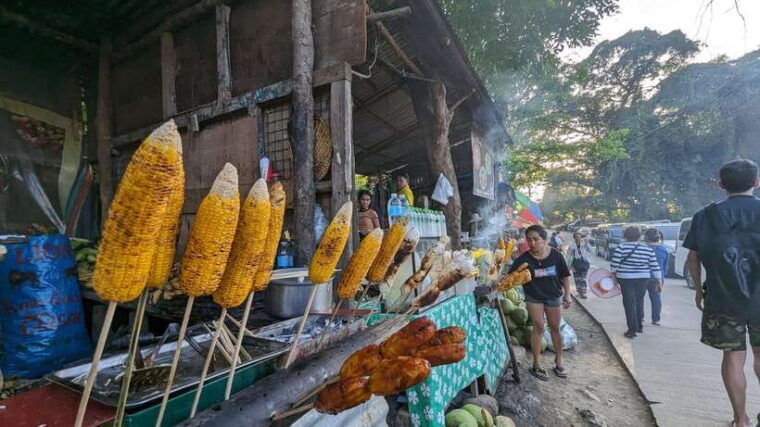 cebu-city-with-sirao-garden-half-day-tour