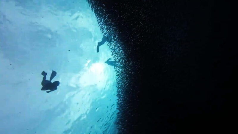 cebu-combopescador-island-hopping-canyoneering-with-lunch