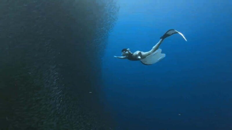 cebu-combopescador-island-hopping-canyoneering-with-lunch