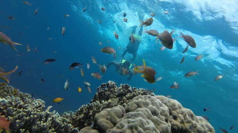 cebu-combopescador-island-hopping-canyoneering-with-lunch