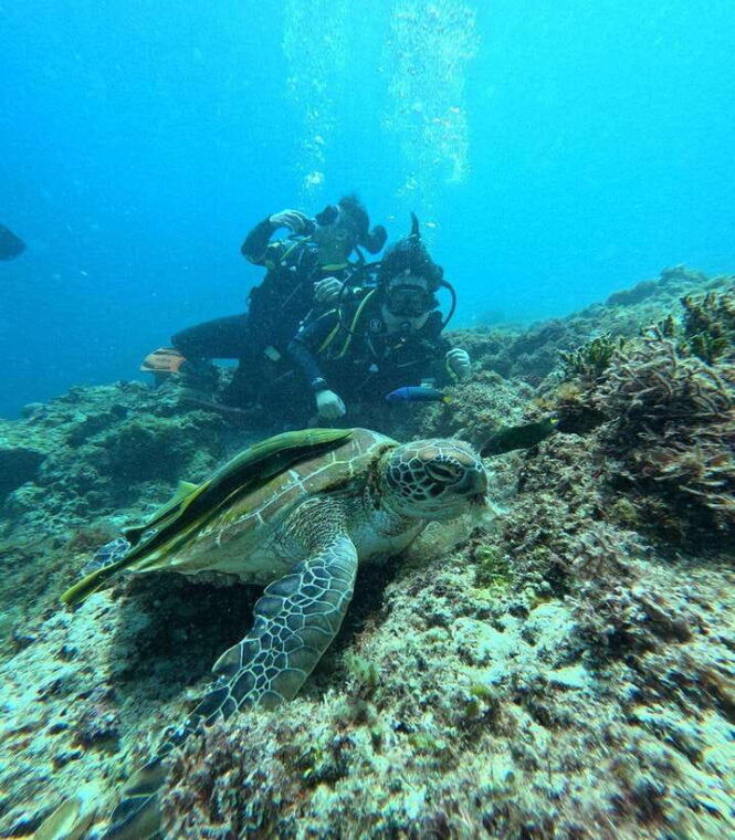 cebu-get-two-level-certification-in-one-trip-4n5d